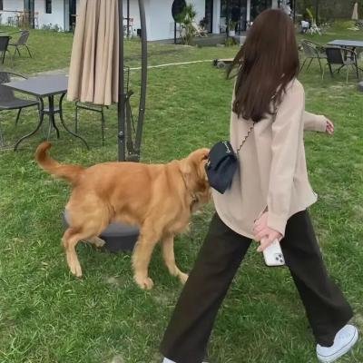 鬼家怪谈