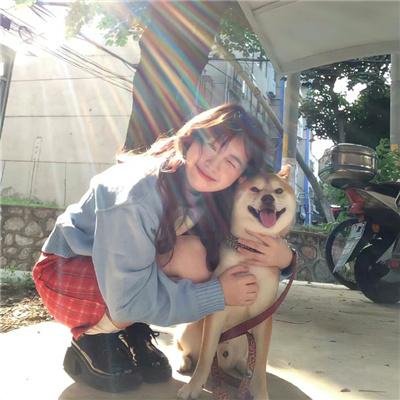 狐狸猎手